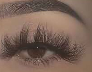 lot 6270360 image: Long Lasting Natural Dramatic Volume Eyelashes Extension Thick Long 3D False Eyelashes