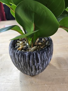 lot 6270384 image: Artificial Plants Real Looking and Touching Fake Plant Evergreen Plastic Fiddle Leaf Fig Plant with Rustic Black Cement Planter for Housewarming Office Desk Decor