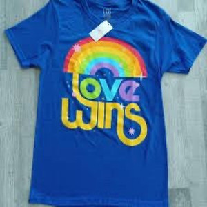 lot 6270498 image: Love Wins blue t shirt size medium