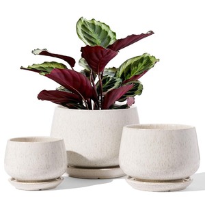 lot 6272320 image: LE TAUCI Plant Pots, 4.15.16.5 inch, Set of 3, Ceramic Planters with Drainage Hole and Saucer, Indoor Flower Pot with Hole Mesh Pad, Gifts for Mom, Reactive Glaze Beige (NEEDS CLEANED)