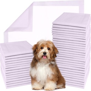 lot 6272354 image: GREEN LIFESTYLE Pee Pads - Super Absorbent & Leak-Proof Pee Pads for Dogs - Puppy Pads - Waterproof Dog Pads, Lavender Scented Dog Training Pads for Cats, Rabbits (Pack of 80 - 22x22)