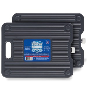 lot 6272470 image: Cooler Shock Ice Packs for Cooler - 2 Reusable, Long Lasting, Cold Freezer Packs for Coolers, Lunch Bags & Totes to Keep Food Fresh - Gray