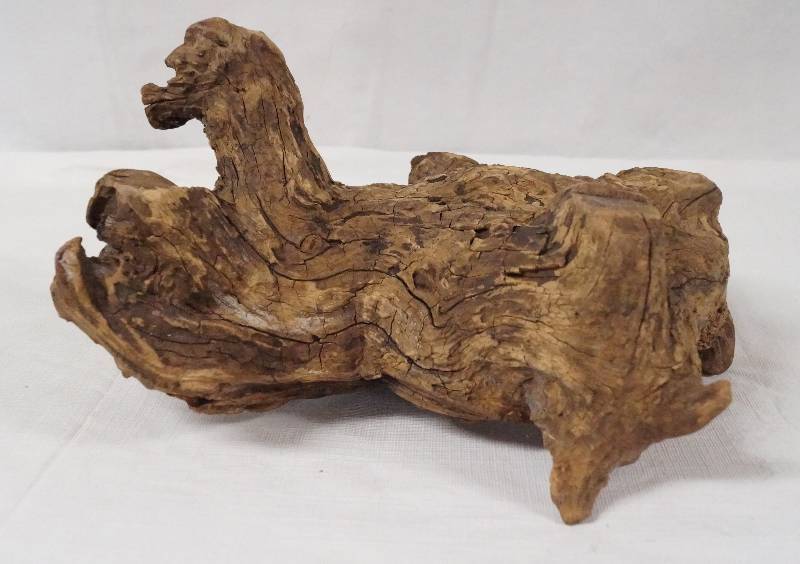 lot 6194 image: Piece of Knotted Wood- VERY Neat Take a Look