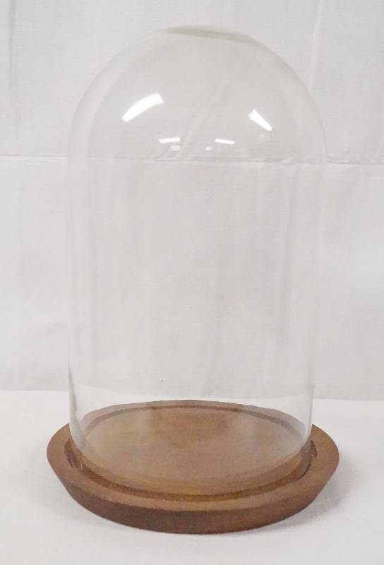 lot 6351 image: 10 Tall Glass display dome w wood base -