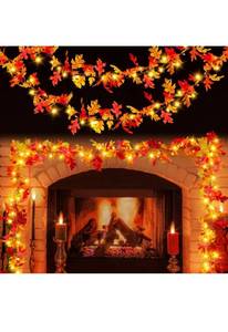 lot 75386 image: Fall Decorations Fall Garland with Lights 9Ft Plug in Lighted Thanksgiving Garland with 50 Incandescent Bulbs Fall Decor Lights for Outdoor Indoor Home Party Autumn Halloween Fall Harvest Decor