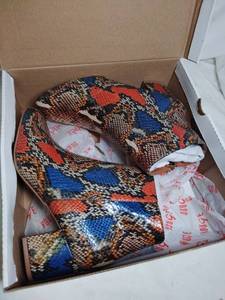 lot 103 image: Womens Size 8.5 Snake Shoes in a Box