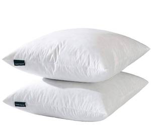 lot 2017 image: basic home 16x16 Decorative Throw Pillow Inserts-Down Feather Pillow Inserts-Square-Cotton Fabric-Set of 2-White.