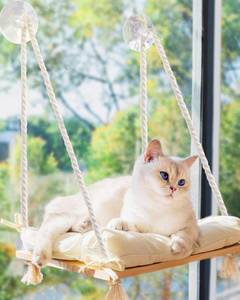 lot 2101 image: Cat Window Perch - Cat Hammock for Window - Solid Wood Seat & Strong Suction Cups - Cat Window Bed & Furniture for Cats Inside - Hanging Window Shelf for Small Medium Indoor Cats
