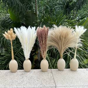 lot 2116 image: Pampas Grass Boho Home Decor 150Pcs 17-inch Natural Dried Flowers-Pampas Grass Contains Bunny Tails White Pampas Brown Pampas. Boho Decor for Farmhouse Wedding Boho Wall Bathroom Office Kitchen