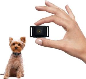 lot 2196 image: Tiniest Bark Collar for Small Dogs 5-15lbs, Only 1.6  1in & 0.42oz, No Shock with Vibration &Sound, Extra Small & Rechargeable, 5 Sensitivity Levels Black
