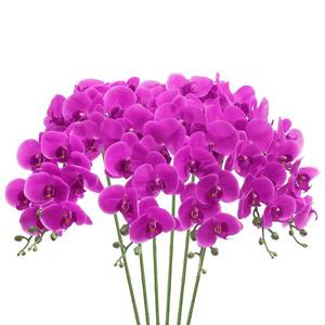 lot 18617 image: SHACOS 6 PCS Artificial Orchid Stems Bulk Real Touch Large Bloom Orchids 37 inch Tall 9 Blooms Fake Phalaenopsis Flower Home Wedding Decoration (6 PCS, Fuchsia)