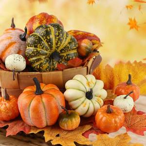 lot 19127 image: HAKACC 14 PCS Artificial Lifelike Simulation Mixed Pumpkins for Decorating, Fake Pumpkins with 30PCS Fake Maple Leaves Festival Thanksgiving Fall Harvest Home Decoration