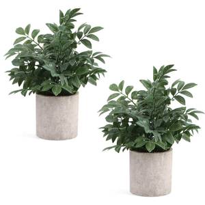 lot 20673 image: Coferset 2 Pack Small Fake Plants Potted Artificial Herb Plants for Shelf Desk Home Bathroom Farmhouse Room Coffee Table Decor (Gray Green)