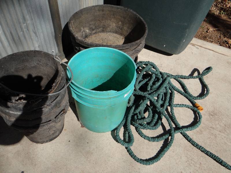 lot 1000 image: Feed buckets, water buckets, and garden hose.