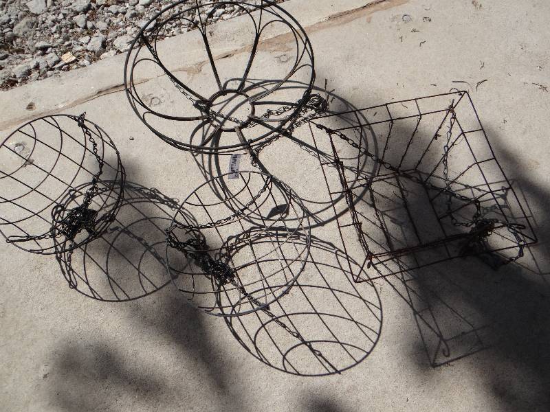 lot 1001 image: 4 hanging baskets.