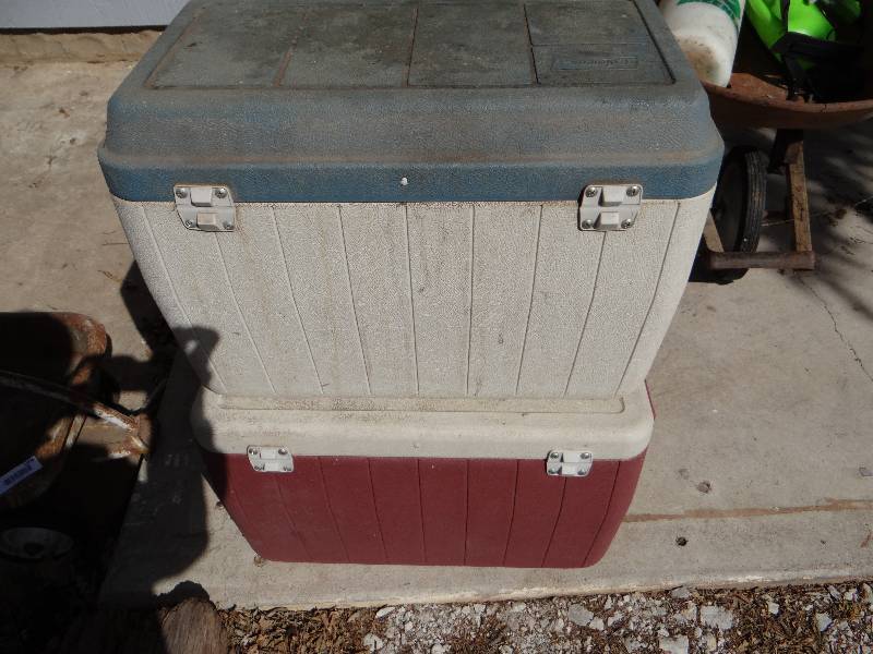 lot 1005 image: 2 ice chest.