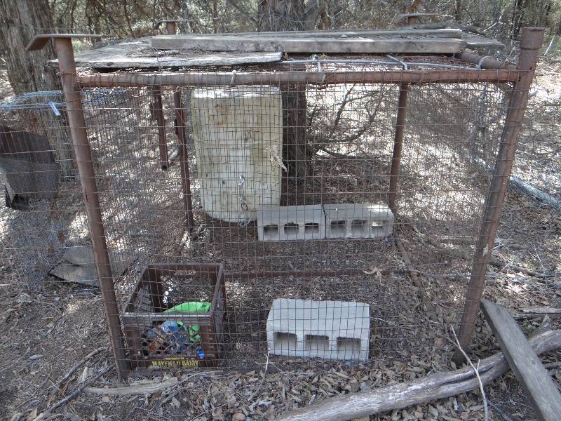 lot 1012 image: 52x48x55 metal cage, 19x36x22 pet cage.