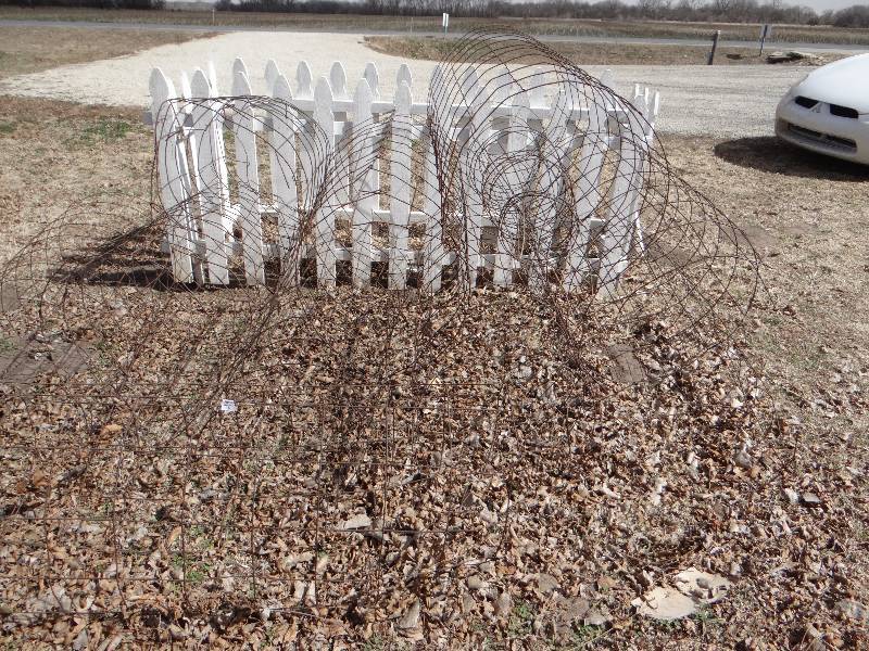 lot 1029 image: 10 large tomato cages, 7 small.