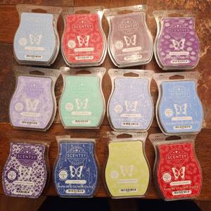 lot 159 image: 12 Scentsy scent bars new in pkg