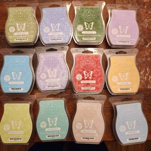 lot 160 image: 12 Scentsy scent bars new in pkg
