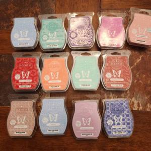 lot 163 image: 13 Scentsy scent bars new in pkg