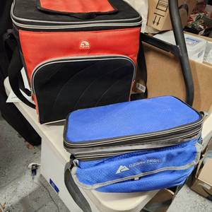 lot 288 image: Igloo and Ozark Trailer coolers