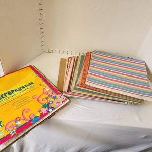 lot 629 image: Scrapbook card stock paper and patterned paper sheets with exScrapaganza scrapbooking coordinates