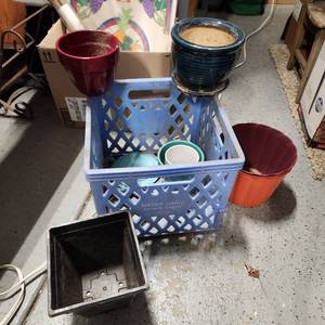 lot 665 image: Flower pots in plastic crate