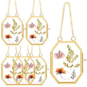 lot 43990 image: Marsui Set of 6 Double Glass Frame for Pressed Flowers 2.5 x 3.5 Inch Hanging Glass Photo Frame Octagon Dried Flower Photo Frame Small Gold Floating Picture Frames for Kids Artwork Plant Specimen