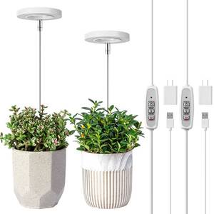 lot 21189 image: LORDEM Grow Light, Full Spectrum LED Plant Light for Indoor Plants, Height Adjustable Growing Lamp with Auto OnOff Timer 4812H, 4 Dimmable Brightness, Ideal for Small Plants, 2 Packs