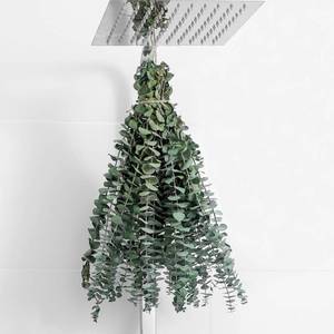 lot 21438 image: 10 Pcs Dried Eucalyptus Stems 17 Real Eucalyptus for Shower Hanging 100% Made from Fresh Eucalyptus Leaves, Wedding Decor Home Decor Farmhouse Decor DIY Spring Decor,Green. Dried Flowers