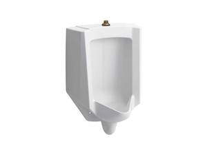 lot 10220 image: High-Efficiency Urinal (HEU), washdown, wall-hung, 0.125 gpf to 1.0 gpf, top spud