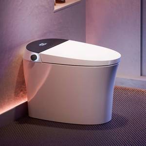 lot 10289 image: CANEST Smart Bidet Toilet, Smart Toilet with Bidet Built in, Pump-assisted Flush, Foot Sensor Operation, Warm Water, Heated Seat, Air Dryer, Digital Display (TC-100GE)&nbsp