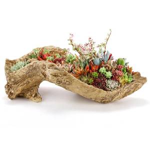 lot 1690 image: Pumtus Artificial Driftwood Planter, Sculpture Resin Succulent Flower Pot, Creative Imitation Wood Stump Log Bonsai Plant Pot, Rustic Cactus Container with Drainage Hole for Garden, Indoor, Outdoor