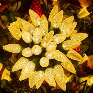 lot 1702 image: Brightown C9 Christmas String Lights Outdoor 50 Feet Led Christmas Lights, 501(Spare) Strawberry Bulbs Connectable UL Certified for Indoor Outdoor Roofline Patio Holiday Party Backyard Xmas Decor