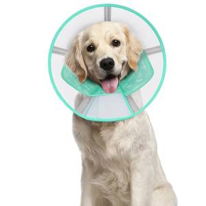 lot 8044 image: Supet Soft Dog Cone Collar for Dogs After Surgery, Small Dog E Collar to Stop Licking, Comfortable Elizabethan Collar for Small Dogs, Cone of Shame Alternative, Adjustable Pet Recovery Collar (S)
