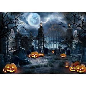 lot 8231 image: Maijoeyy 7x5ft Halloween Backdrops Graveyard Backdrops for Photography Scary Cemetary Photo Backdrop Halloween Party Backdrop for Kids Photography Props
