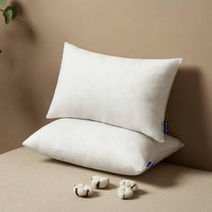 lot 8239 image: MIULEE 12x20 Pillow Inserts Set of 2, Rectangle Decorative Throw Pillow Premium Fluffy Lumbar Pillow Forms Stuffer for Living Room Sofa Couch Bed