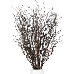 lot 8369 image: AitargaHogar Artificial Plants 10PCS 37 Curly Willow Branches for Vase,Fake Twigs Sticks Greenery for Vase Decor,Fake Plants Artificial Branches for Shop Garden Office Home Decoration
