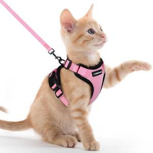 lot 8409 image: rabbitgoo Cat Harness and Leash for Walking, Escape Proof Soft Adjustable Vest Harnesses for Cats, Easy Control Breathable Reflective Strips Jacket, Pink, XXS