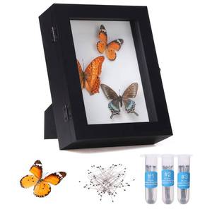 lot 8481 image: IHEIPYE Insect Display Case Wall Mount Bug Display Case Collection Box for Butterfly Specimen with Anti Fade UV Protection Acrylic Top Eva Foam Pinning Board and 3 Sizes Pins Insect Shadow Box