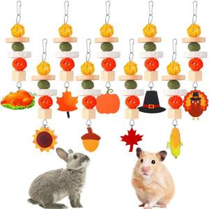 lot 10215 image: Shappy 9 Pcs Thanksgiving Guinea Pig Toys Fall Bunny Rabbit Hamster Chinchilla Hanging Toys for Teeth Grinding Natural Wood Grass Treats Cage Chews for Small Pets Gifts