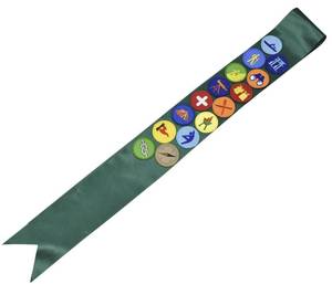 lot 6080 image: JFFCESTORE Embroidered Patch Come with Satin Sash Double Sided Sticky Fix Morale Patch Tactical Military Morale Patches Party Decorations Applique DIY Accessory (15pc Green)