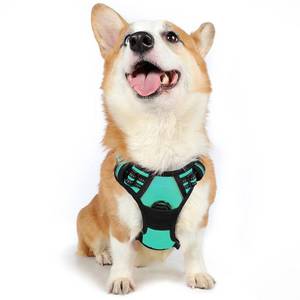lot 6098 image: rabbitgoo Dog Harness, No-Pull Pet Harness with 2 Leash Clips, Adjustable Soft Padded Dog Vest, Reflective No-Choke Pet Oxford Vest with Easy Control Handle for Medium Dogs, Turquoise, M