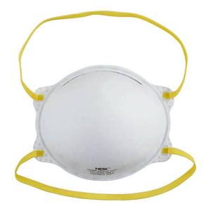 lot 10163 image: N95 Disposable Respirator Box (30-Pack)