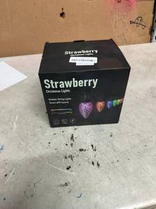 lot 8202 image: Strawberry Christmas Lights