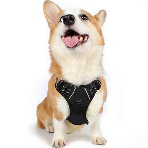 lot 186280 image: rabbitgoo Dog Harness, No-Pull Pet Harness with 2 Leash Clips, Adjustable Soft Padded Dog Vest, Reflective No-Choke Pet Oxford Vest with Easy Control Handle for Medium Dogs, Black, M