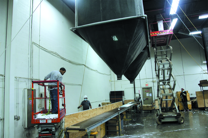 lot 503 image: Peanut Hoppers (3  21x8) Already Removed and Ready to Go