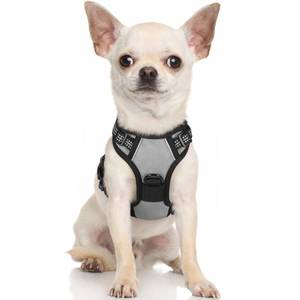 lot 9871 image: rabbitgoo Dog Harness, No-Pull Pet Harness with 2 Leash Clips, Adjustable Soft Padded Dog Vest, Reflective No-Choke Pet Oxford Vest with Easy Control Handle for Small Dogs, Grey, XS