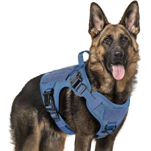 lot 9941 image: rabbitgoo Tactical Dog Harness for Large Dogs, Heavy Duty Dog Harness with Handle, No-Pull Service Dog Vest Large Breed, Adjustable Military Dog Vest Harness for Training Hunting Walking, Blue, XL